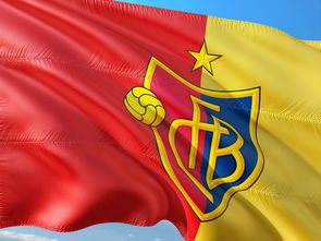 开云体育app下载-女排超级联赛强强对决比赛火爆，女排超级联赛最新战报  第2张